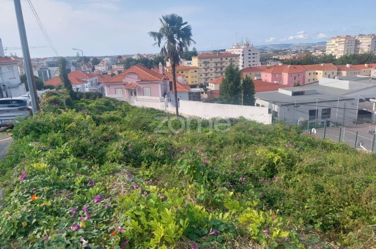 Terreno para Venda em Santa Maria e São Miguel, São Martinho, São Pedro Penaferrim Foto 6