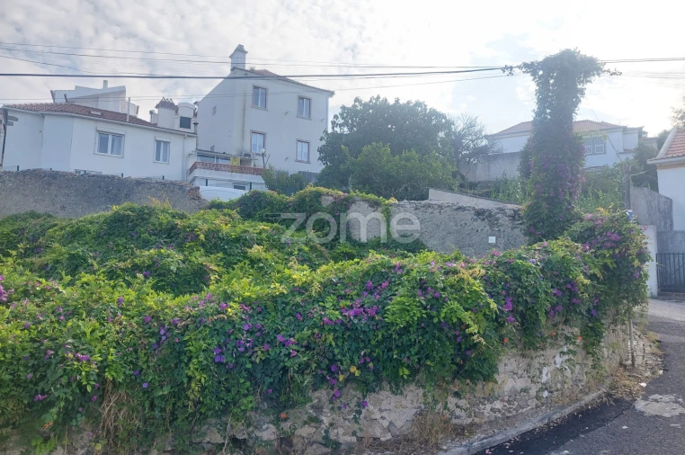 Terreno para Venda em Santa Maria e São Miguel, São Martinho, São Pedro Penaferrim Foto 8