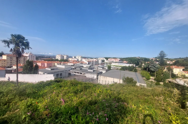 Terreno para Venda em Santa Maria e São Miguel, São Martinho, São Pedro Penaferrim Foto 11