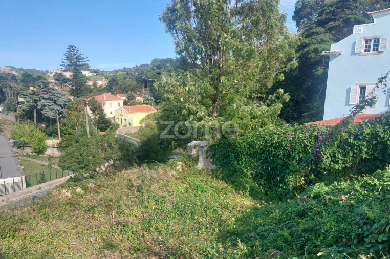 Terreno para Venda em Santa Maria e São Miguel, São Martinho, São Pedro Penaferrim Foto 13