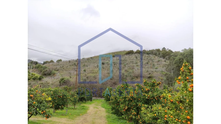 Quinta para Venda em Santa Comba de Vilariça Foto 6