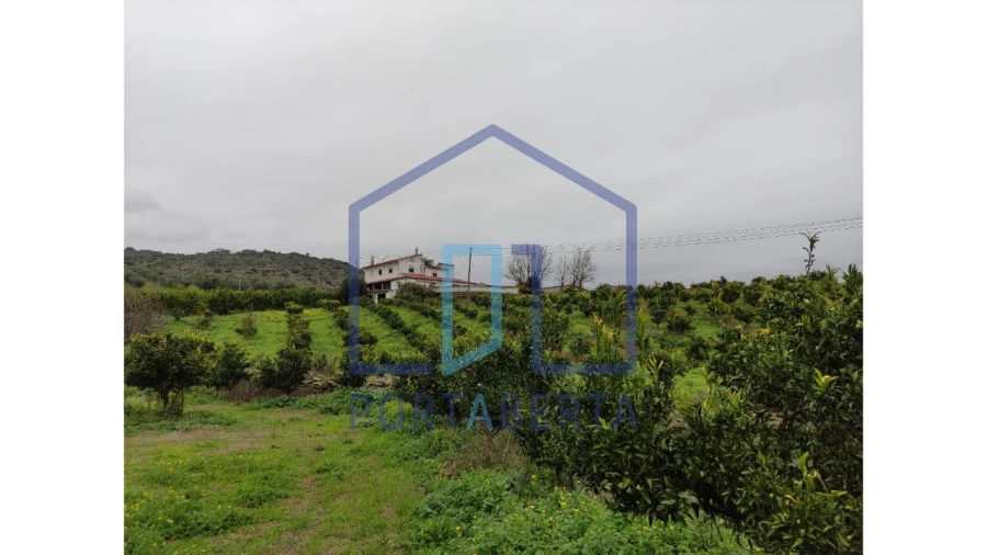 Quinta para Venda em Santa Comba de Vilariça Foto 9