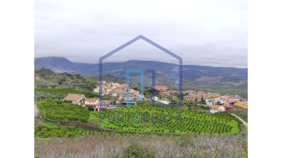 Quinta para Venda em Santa Comba de Vilariça