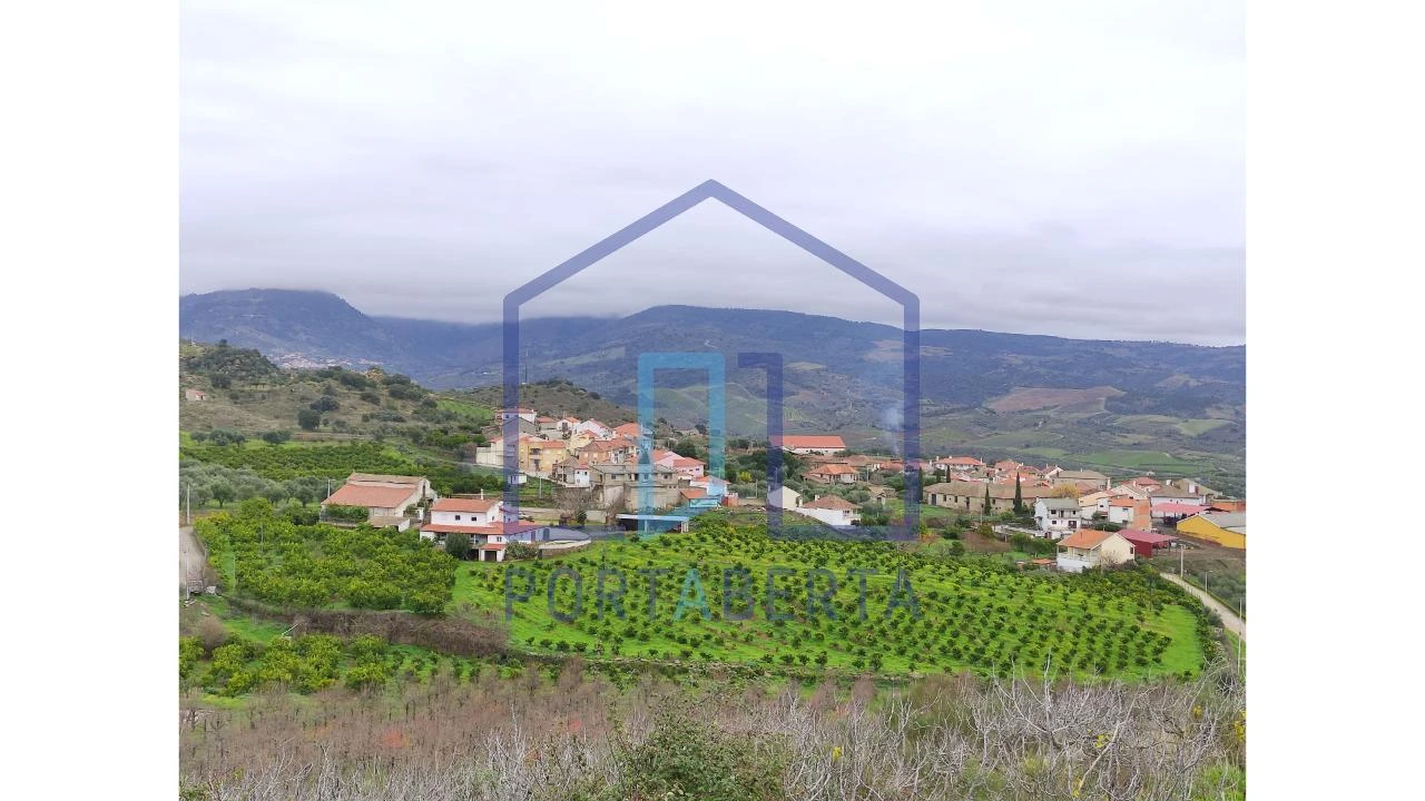 Quinta para Venda em Santa Comba de Vilariça Foto 1