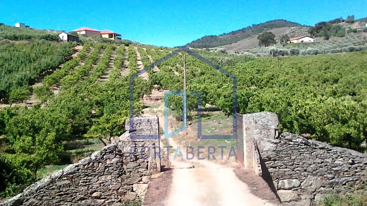 Quinta para Venda em Santa Comba de Vilariça Foto 4