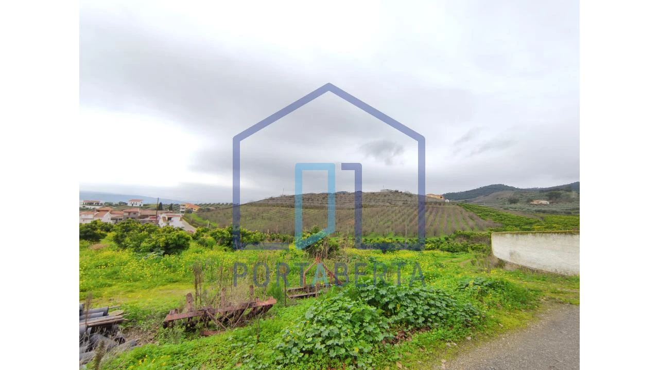 Quinta para Venda em Santa Comba de Vilariça Foto 5