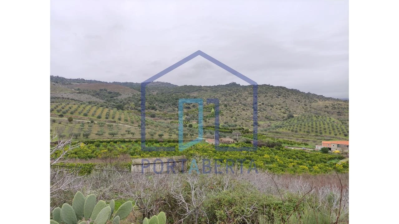 Quinta para Venda em Santa Comba de Vilariça Foto 11