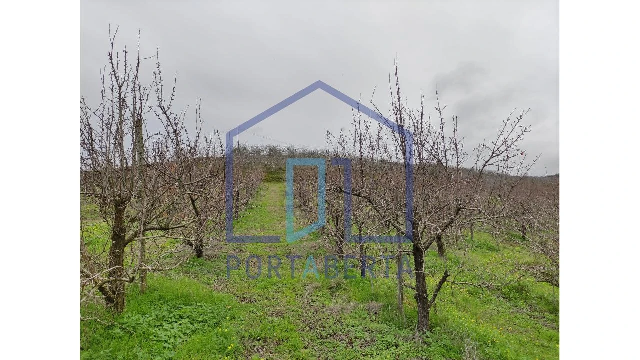 Quinta para Venda em Santa Comba de Vilariça Foto 10