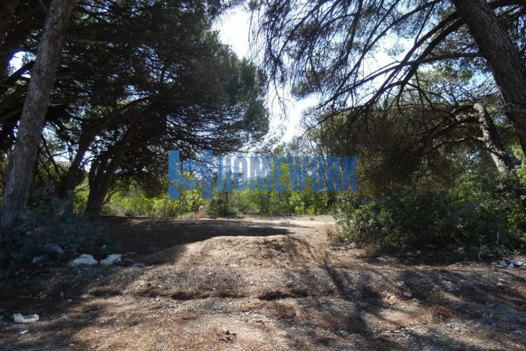 Terreno para Venda em Caparica e Trafaria Foto 1