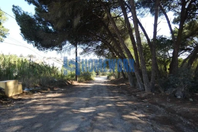 Terreno para Venda em Caparica e Trafaria