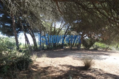 Terreno para Venda em Caparica e Trafaria