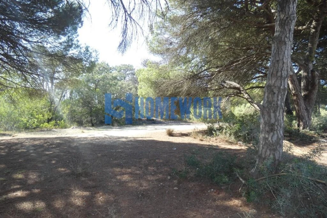 Terreno para Venda em Caparica e Trafaria Foto 2