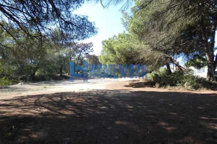 Terreno para Venda em Caparica e Trafaria Foto 3