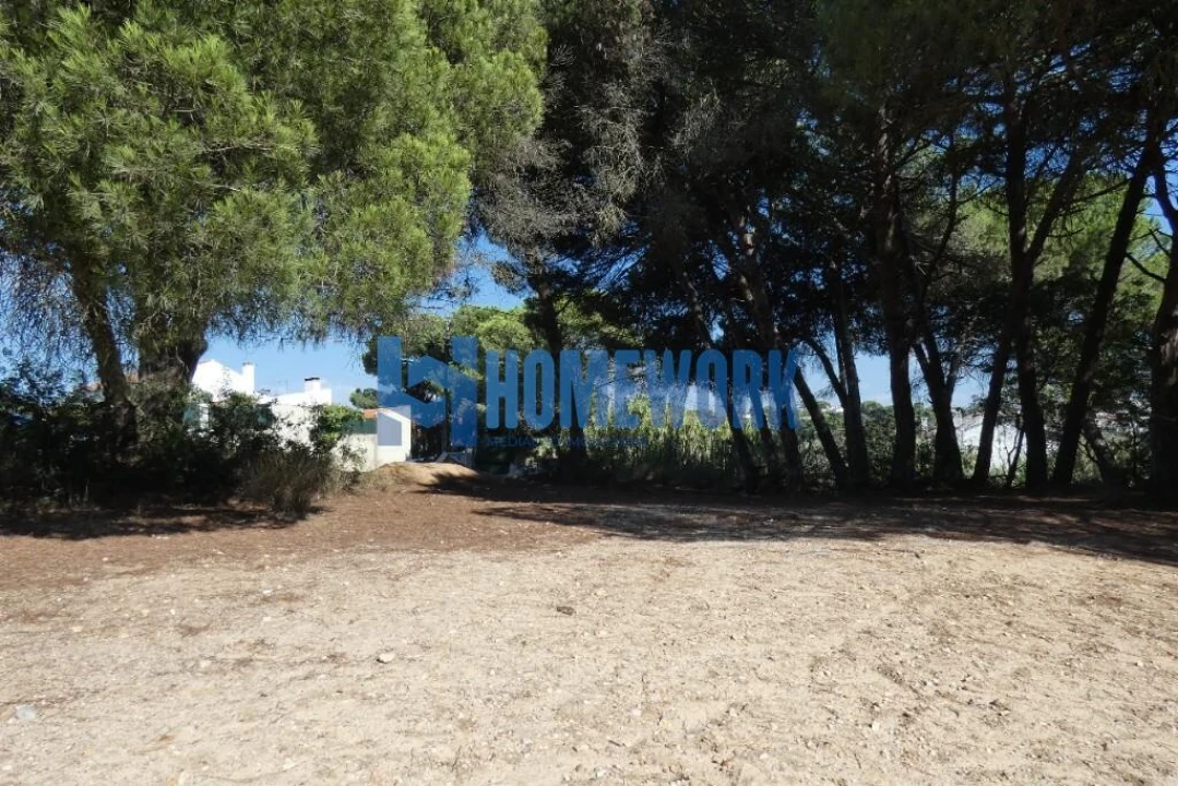Terreno para Venda em Caparica e Trafaria Foto 6