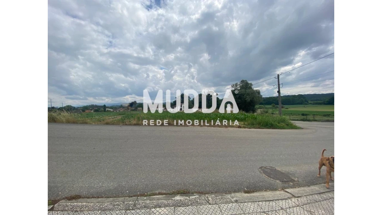 Terreno para Venda em Alquerubim Foto 19