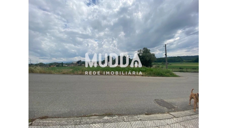 Terreno para Venda em Alquerubim Foto 19