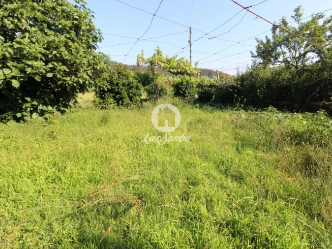 Moradia T3 para Venda em Airo Foto 15