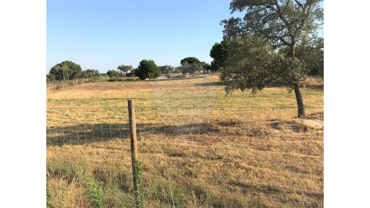 Terreno para Venda em Coruche, Fajarda e Erra Foto 7