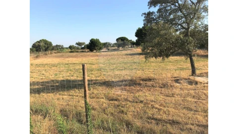 Terreno para Venda em Coruche, Fajarda e Erra