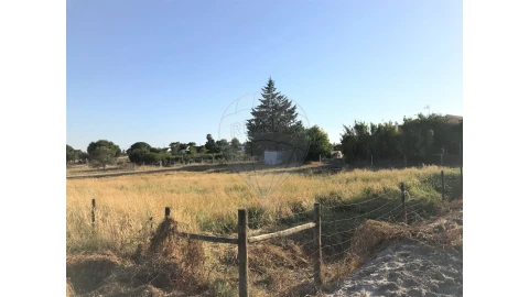 Terreno para Venda em Coruche, Fajarda e Erra