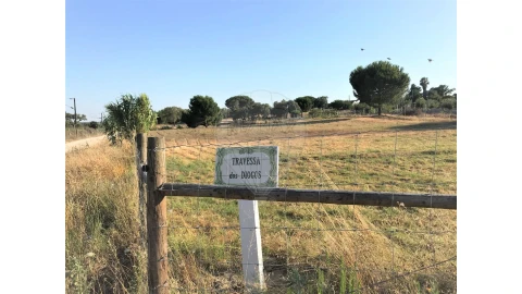 Terreno para Venda em Coruche, Fajarda e Erra