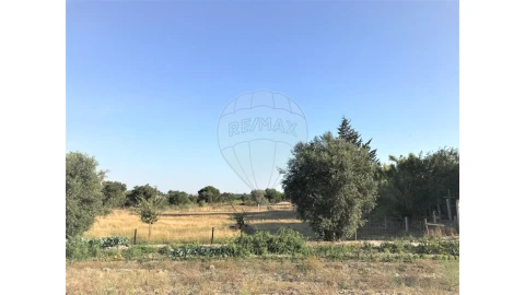 Terreno para Venda em Coruche, Fajarda e Erra