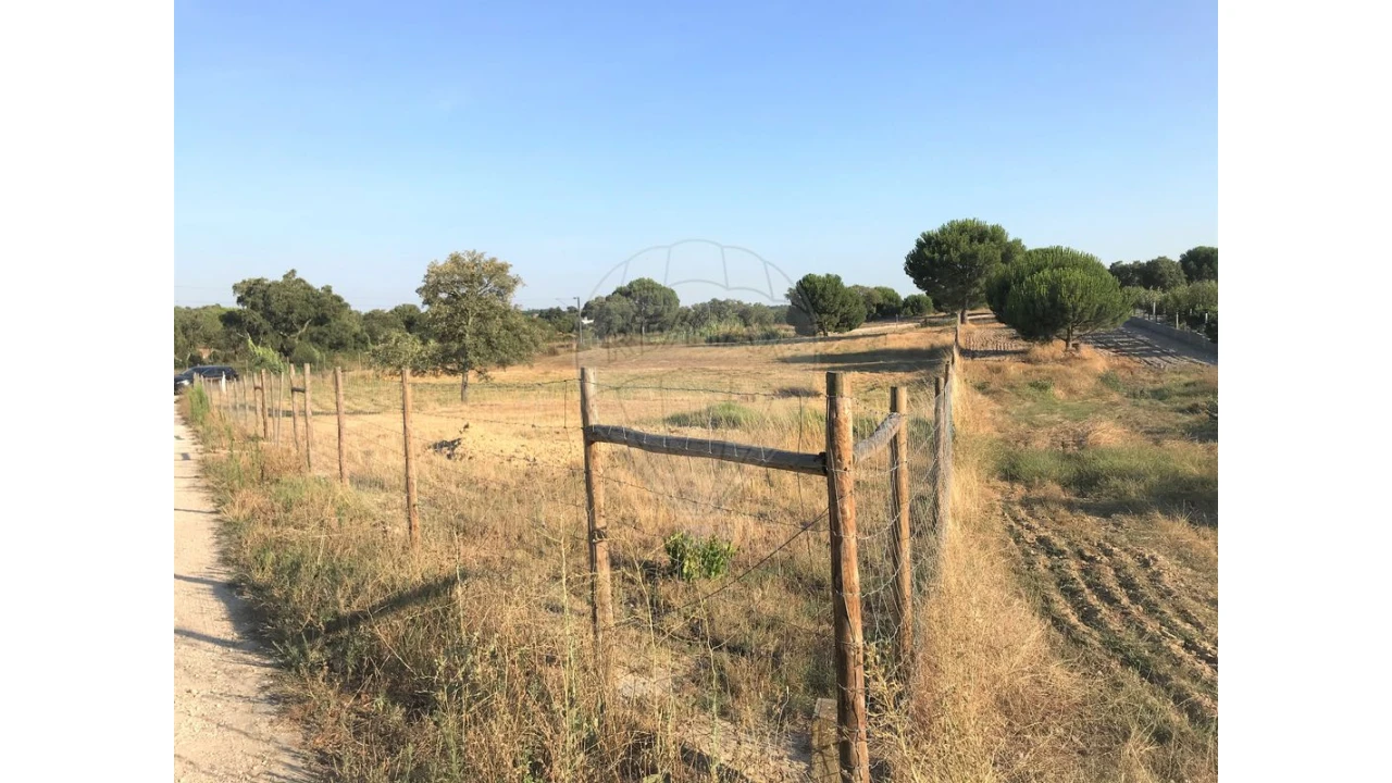Terreno para Venda em Coruche, Fajarda e Erra Foto 5