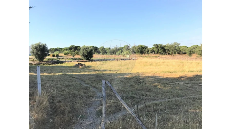 Terreno para Venda em Coruche, Fajarda e Erra Foto 4