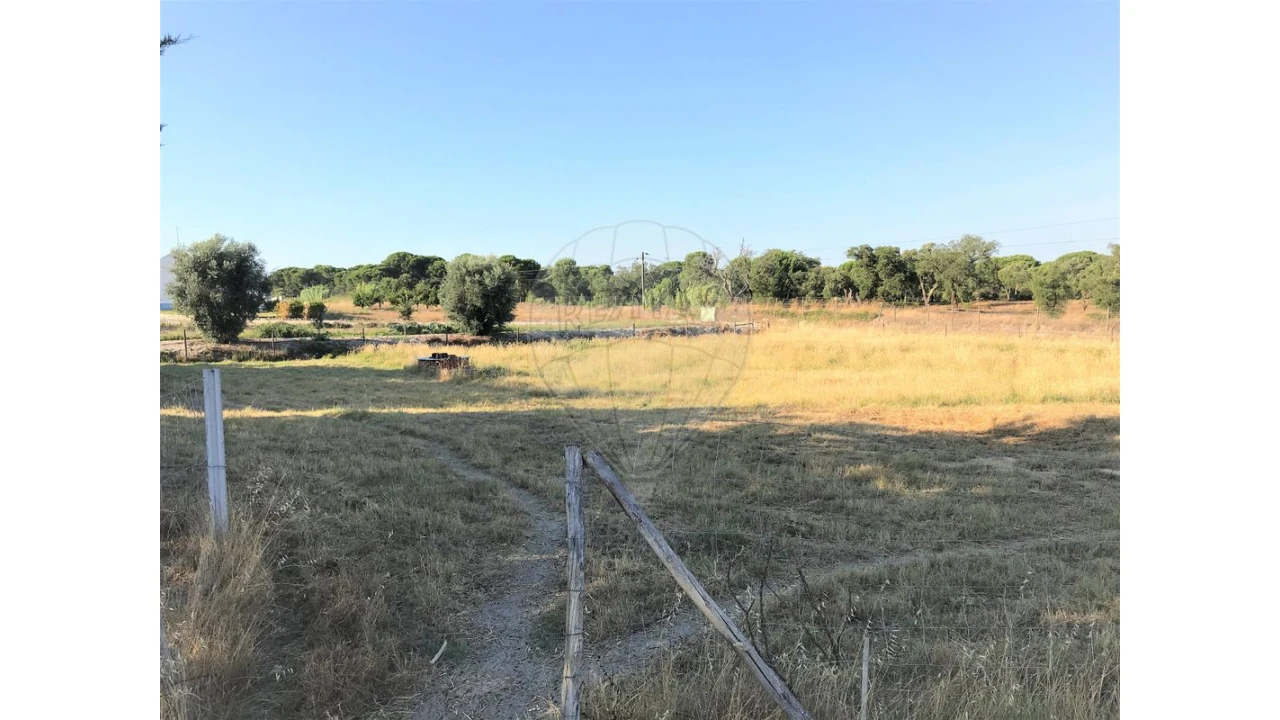 Terreno para Venda em Coruche, Fajarda e Erra Foto 4