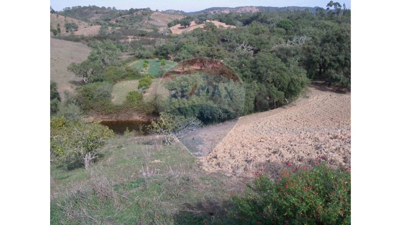 Moradia T3 para Venda em São Bartolomeu de Messines Foto 17