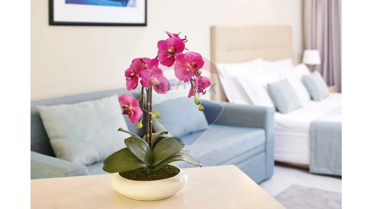 Apartamento T1 para Venda em Albufeira e Olhos de Água Foto 5
