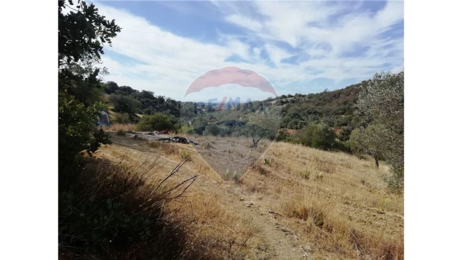 Terreno P/ Prédio para Venda em Loule (São Sebastião)
