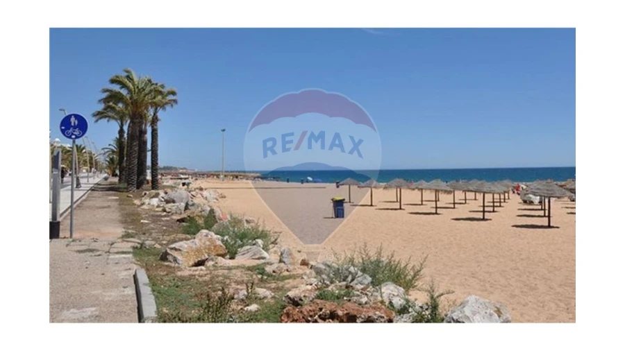 Terreno P/ Prédio para Venda em Loule (São Sebastião) Foto 18