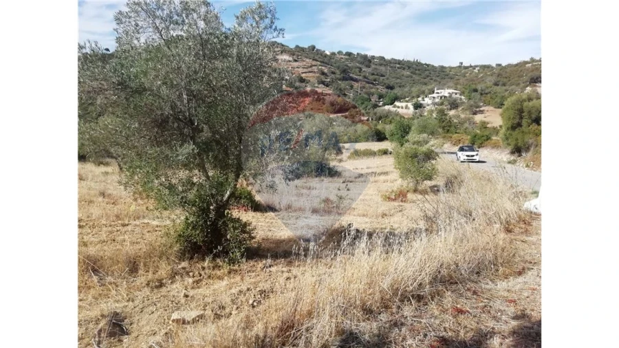 Terreno P/ Prédio para Venda em Loule (São Sebastião) Foto 3