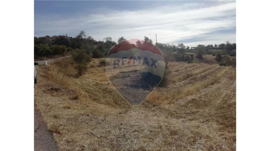 Terreno P/ Prédio para Venda em Loule (São Sebastião) Foto 8