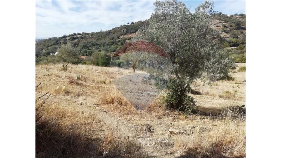Terreno P/ Prédio para Venda em Loule (São Sebastião) Foto 2