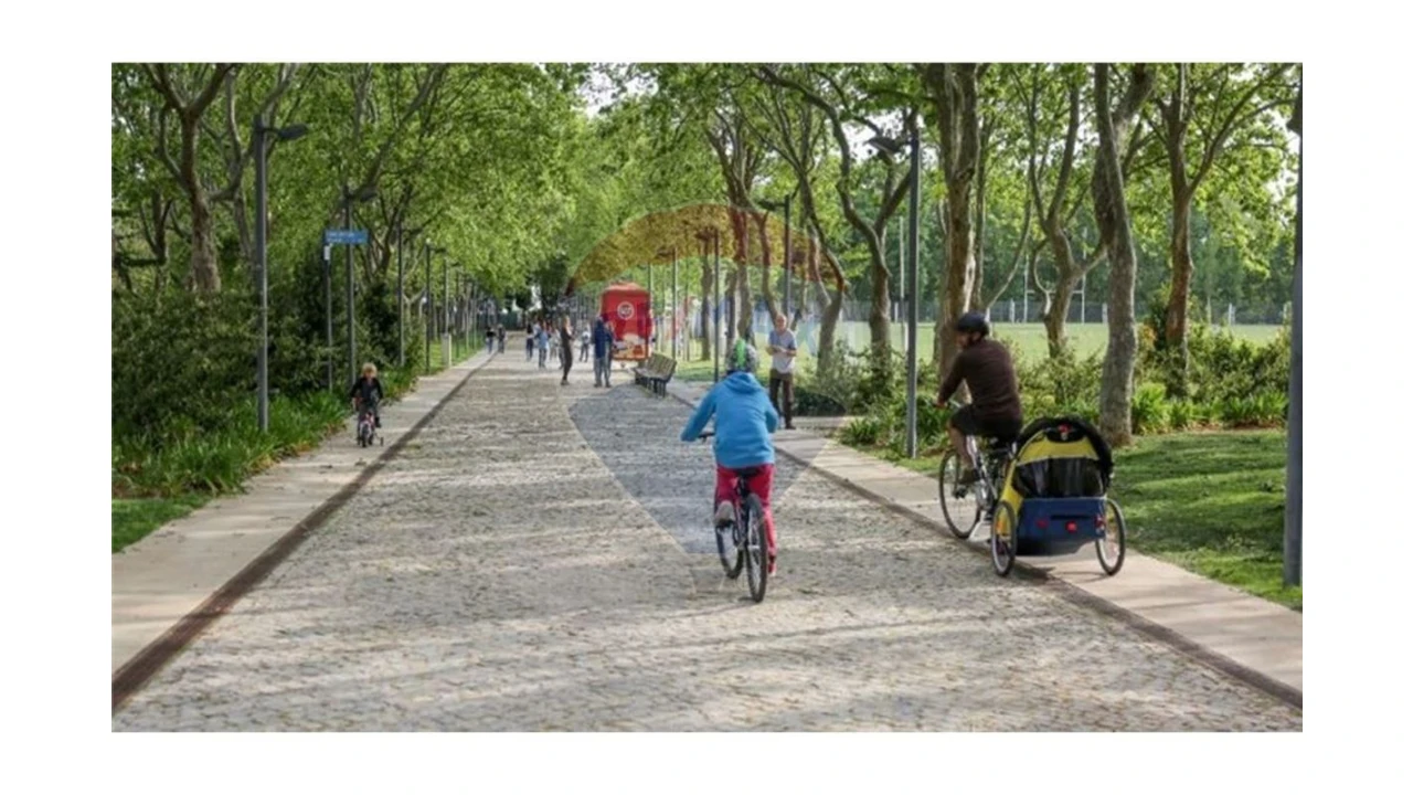 Terreno P/ Prédio para Venda em Loule (São Sebastião) Foto 16