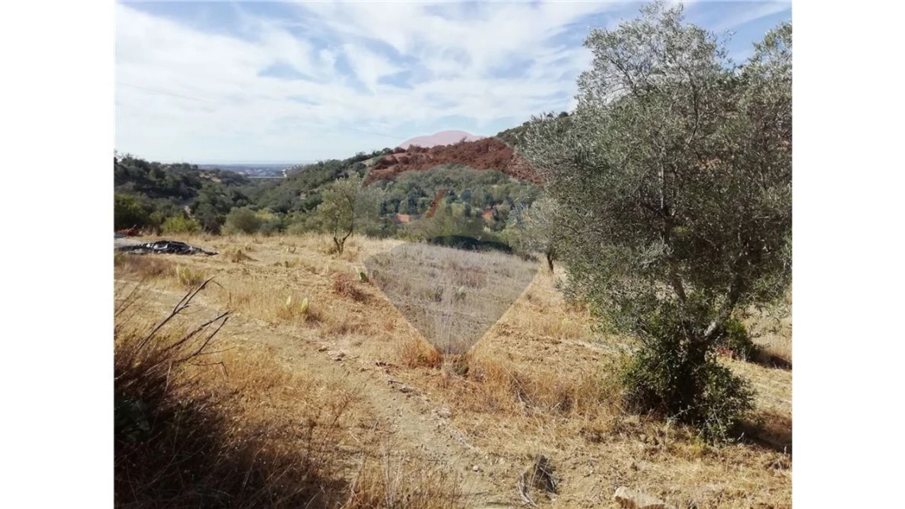 Terreno P/ Prédio para Venda em Loule (São Sebastião) Foto 4
