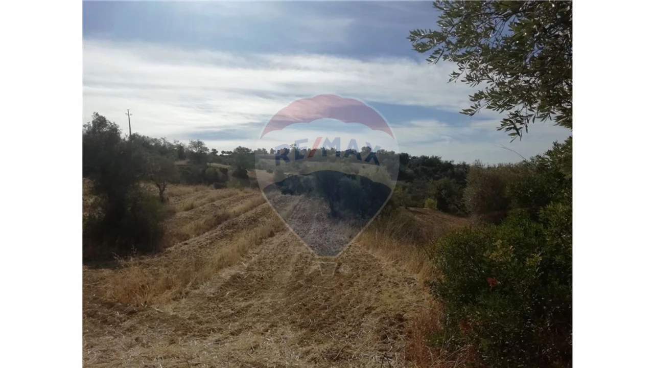 Terreno P/ Prédio para Venda em Loule (São Sebastião) Foto 6