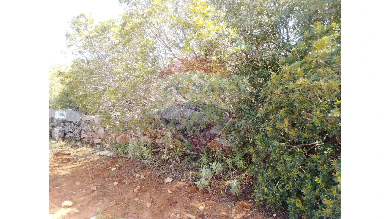 Terreno P/ Prédio para Venda em Almancil Foto 7