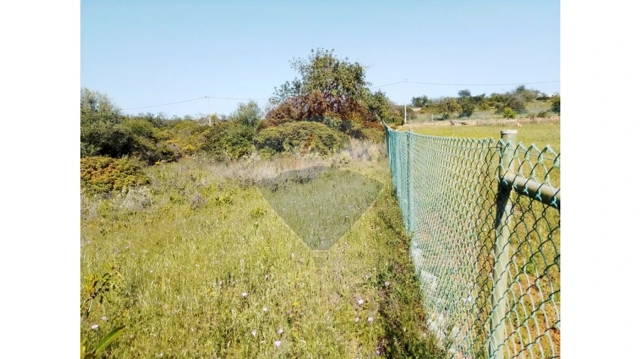 Terreno P/ Prédio para Venda em Almancil Foto 8