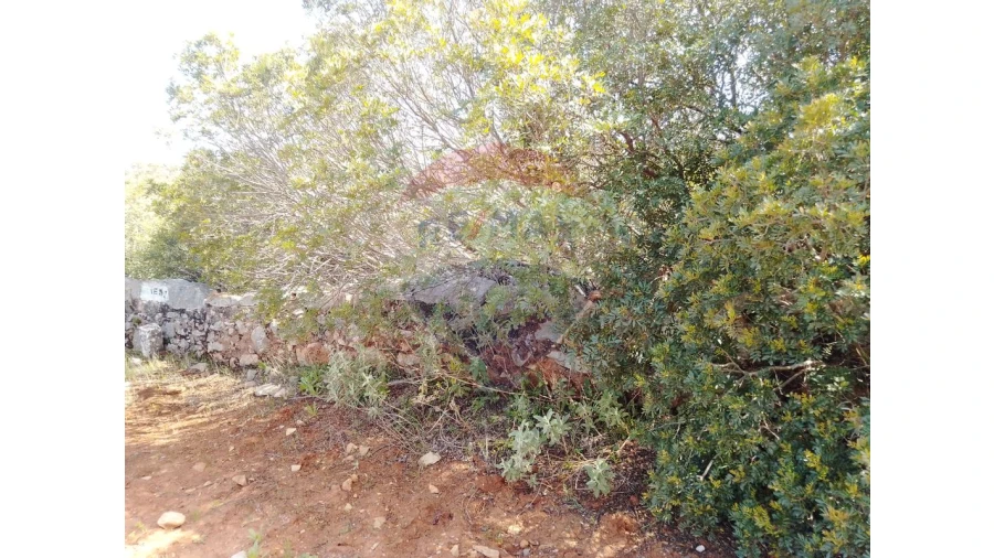 Terreno P/ Prédio para Venda em Almancil Foto 7