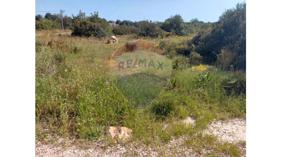 Terreno P/ Prédio para Venda em Almancil Foto 2