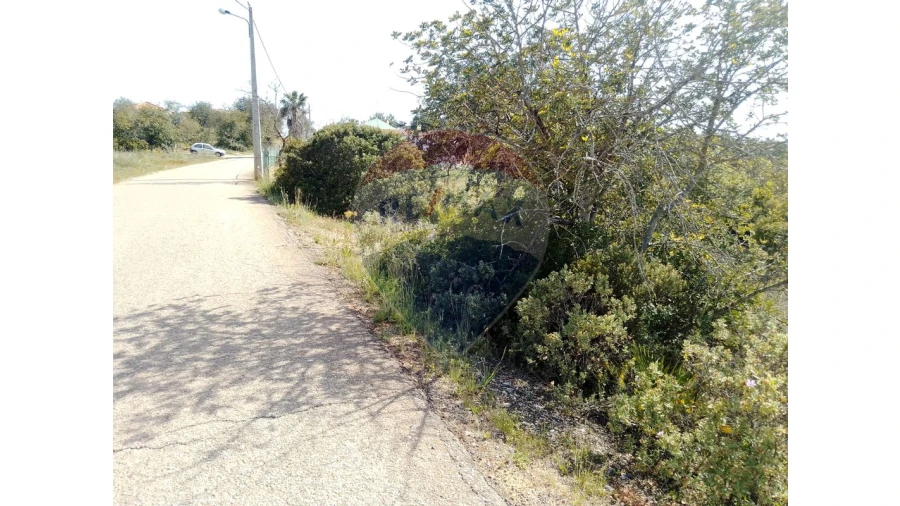 Terreno P/ Prédio para Venda em Almancil Foto 9