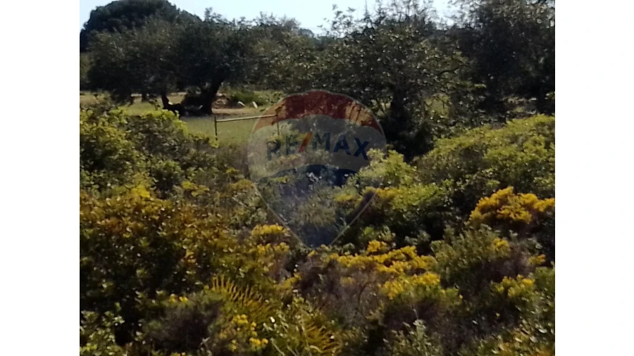 Terreno P/ Prédio para Venda em Almancil Foto 11