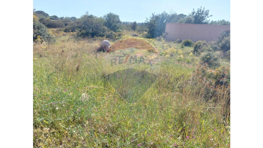 Terreno P/ Prédio para Venda em Almancil Foto 4