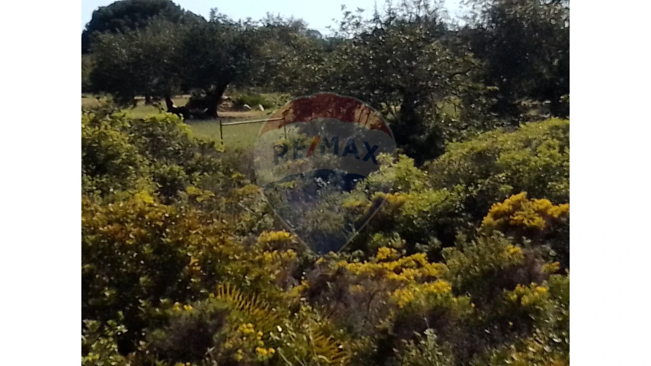 Terreno P/ Prédio para Venda em Almancil Foto 11