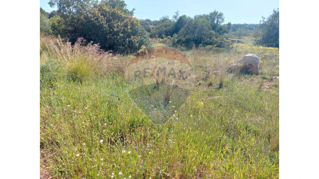 Terreno P/ Prédio para Venda em Almancil Foto 5