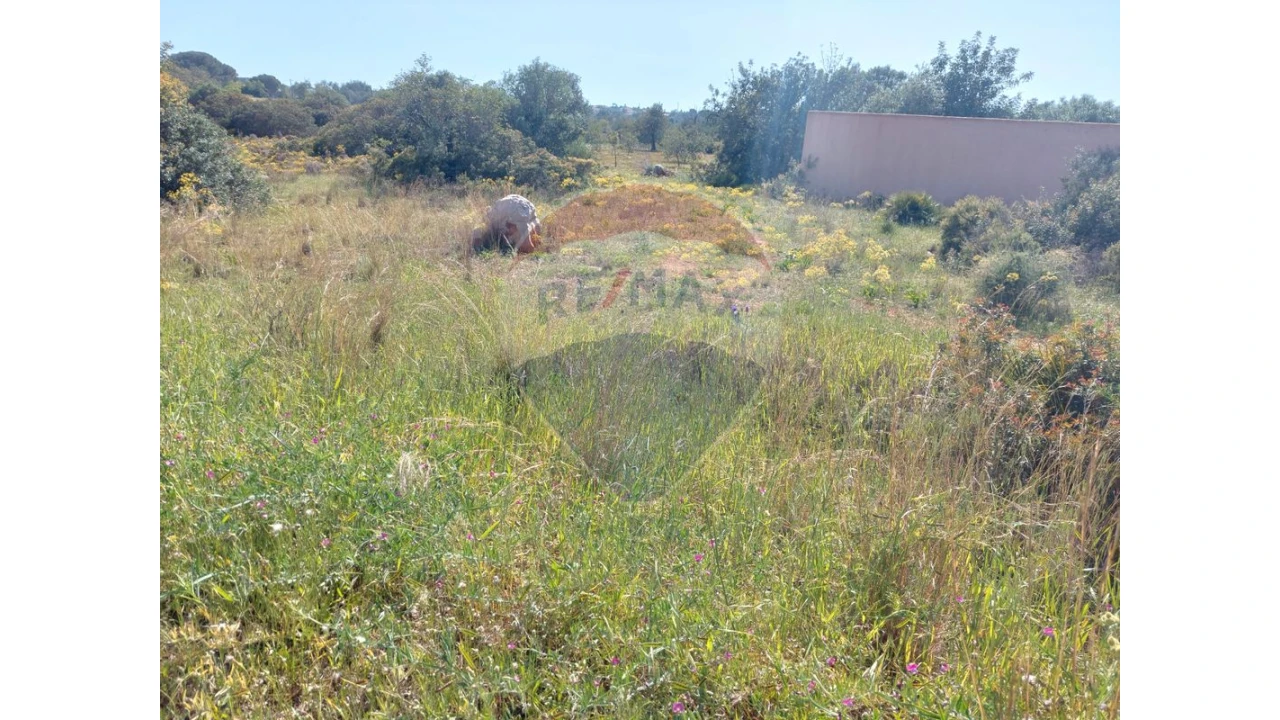 Terreno P/ Prédio para Venda em Almancil Foto 4