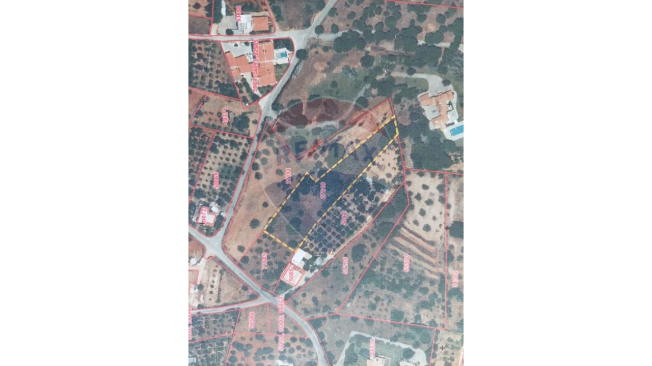 Terreno P/ Prédio para Venda em Almancil Foto 2